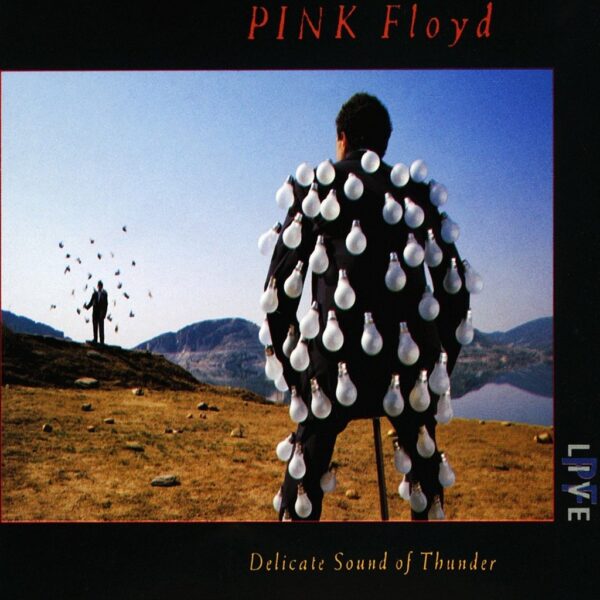 PINK FLOYD - LIVE DELICATE SOUND OF THUNDER 2CDS