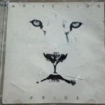 Imagen anterior del producto