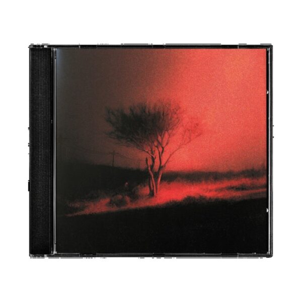 JOJI - PISS IN THE WIND CD